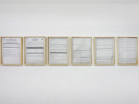 Le Champ des Possibles (solo show), Galerie Roger Tator, Lyon (FR), 2010 - © Guillaume Linard-Osorio