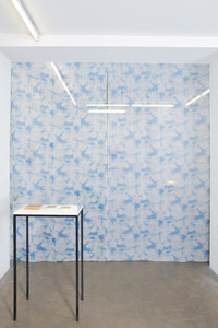 Histoire d’Objet, Galerie Alain Gutharc, Paris (FR), 2016 - © Guillaume Linard-Osorio
