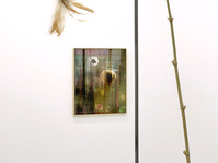 ROMO (solo show), Galerie Alain Gutharc, Paris (FR), 2022 - © Guillaume Linard-Osorio