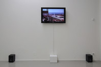 The Past is a Grotesque Animal, Galerie In Extenso, Clermont-Ferrand (FR), 2011 - © Guillaume Linard-Osorio