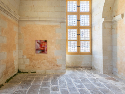 Hypothetical landscape (solo show), Chateau d'Oiron RMN, Plaines-et-Vallées (FR), Photographie Vincent Boutin, 2025 - © Guillaume Linard-Osorio