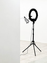 A Thomas Edison, les papillons reconnaissants (solo show), Le Mur Espace d'Art Contemporain, Moret (FR), 2023 - © Guillaume Linard-Osorio
