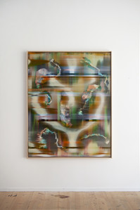 Hypotehtical landscape #79, Peinture et encres sur polycarbonate, 160x120 cm, 2025 - © Guillaume Linard-Osorio