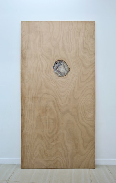 Contreplaqué fossile, Bois contreplaqué, bois fossilisé, 240 × 120 cm, 2008 - © Guillaume Linard-Osorio